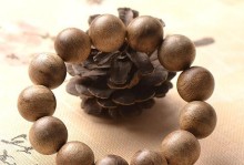 白香树——中药界的宝藏（了解白香树的功效与应用）