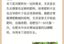 米兰花叶子卷曲，是什么原因？如何处理？