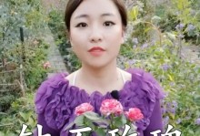 如何正确养护钻石玫瑰，迎接春天的芬芳（钻石玫瑰的养护技巧与关键要点）