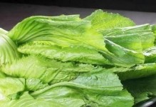 芥菜的全面介绍（了解芥菜的别称和营养价值）