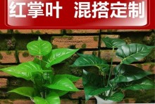红掌叶黄了怎么剪？保持植物健康的秘诀（掌握正确的剪枝技巧，让红掌焕发新生机）