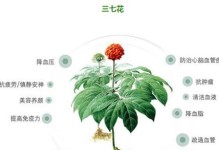 三七花的功效与作用——一种天然的药用植物（从身体健康到美容养颜的多重功能）