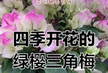 四季樱花的养护与管理（打造四季盛开的美丽花园）