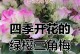 四季樱花的养护与管理（打造四季盛开的美丽花园）