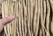 探秘党参的形态特征与药用价值（一根扶苗直上，九节鲤鱼背，千手千眼神仙草——党参的神奇之处）