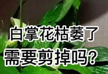 探索花卉枯萎的原因及养护方法（如何避免花卉在生长过程中枯萎，打造一帆风顺的花园）