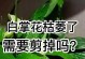 探索花卉枯萎的原因及养护方法（如何避免花卉在生长过程中枯萎，打造一帆风顺的花园）