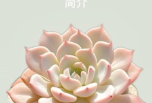 雪莲多肉如何快速生长（掌握关键技巧，让您的雪莲多肉茁壮成长）