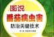 番茄病虫害的综合防治方法（科学防治，提高产量和质量）