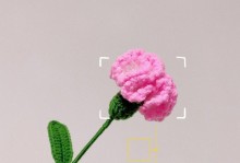 康乃馨树叶的艺术折叠之美（用一片康乃馨树叶，展现无限创造力与精致之美）