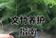 室内盆栽文竹的养殖技巧（打造绿色室内环境，掌握文竹养殖秘籍）
