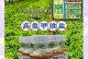 如何应对种花长虫子问题（有效方法与技巧，保护您的花园）
