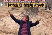 大树枯死的原因及保护方法（探索大树枯死的根源，共同守护绿色世界）
