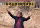 大树枯死的原因及保护方法（探索大树枯死的根源，共同守护绿色世界）