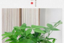 盆栽节节高叶子发黄，如何解决？（盆栽养护技巧，教你轻松应对叶子发黄问题）