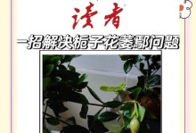 栀子花苞枯萎的原因及处理方法（揭秘栀子花苞干枯的背后原因，教你科学护理）