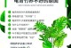 散尾竹叶子发黄的原因及修剪技巧（散尾竹叶子发黄的养护方法与技巧，让你的散尾竹重焕青翠）