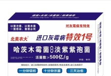 小玫瑰灰霉病的预防与治疗（小玫瑰灰霉病的危害及有效的防治方法）