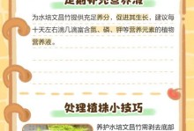 水培竹子蔫了怎么办？（解决水培竹子蔫萎的有效方法）