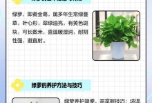 室内绿萝的浇水周期（揭秘室内绿萝的浇水秘诀，掌握正确的浇水周期）