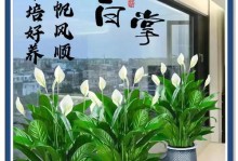 白掌花为什么会变绿色？（揭秘白掌花叶子变色的原因及过程）