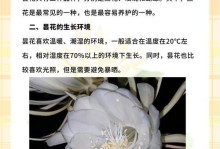 昙花之美（探索昙花的花魁美味一起享受独特的食物盛宴）
