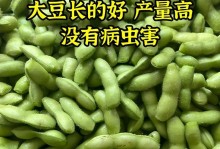 如何种植高产的大豆（高产种植技术与管理方法）
