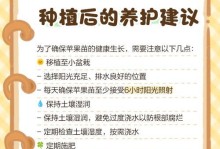 苹果种子的发芽与生长过程（探秘苹果种子的神奇变化及种植技巧）