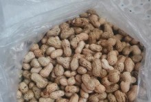 花生的成熟期及其相关知识（了解花生的成熟时间，轻松种植丰收）