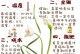 兰花暴晒的护理方法（教你如何应对兰花暴晒问题，让它重新焕发生机）