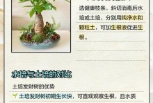 发财树锯下的主干能扦插吗？（探究发财树扦插成功的关键因素）