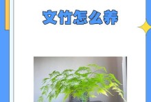 文竹的播种与繁殖（探索文竹的繁殖方法，让您轻松打造绿色家园）
