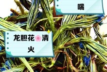 龙胆花的生长周期（探寻龙胆花的生长秘密，感受大自然的力量）