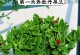 小心思的吊篮枝如何养护？（掌握关键诀窍，让吊篮枝健康成长）