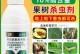 如何选择适合的农药保护桔子树（为您详解桔子树的常见病虫害及防治方法）