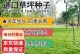 打理马尼拉草坪的技巧与方法（维护美丽草地的关键步骤与注意事项）