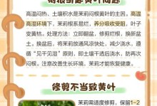 茉莉叶子怎么打皱？（解决茉莉叶子打皱的有效方法）