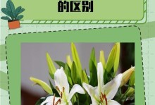 单子叶植物与双子叶植物的区分方法（如何凭借叶片特征鉴别植物分类）