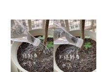 浇花臭味难闻？教你解决以牛奶浇花的问题！（去除牛奶浇花的臭味，让花儿更加芬芳！）