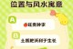 门前种李子树，好处多多（打造家庭果园，享受丰收乐趣）