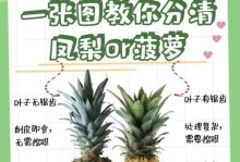 丽丽梨的繁殖与种植技巧（掌握丽丽梨种植的要点，轻松培育多汁甜美的凤梨）