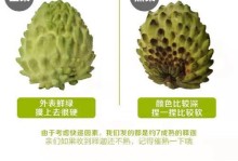 快速熟悉释迦的方法与技巧（探索释迦教义、学习经典、与佛法互动的关键路径）