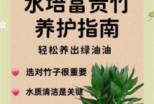 水竹养护指南（水竹养护的秘诀及关键技巧，让您的水竹茁壮成长）