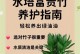 水竹养护指南（水竹养护的秘诀及关键技巧，让您的水竹茁壮成长）