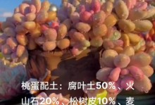 如何科学地给桃蛋浇水（掌握浇水周期，提高果树产量）