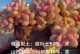 如何科学地给桃蛋浇水（掌握浇水周期，提高果树产量）