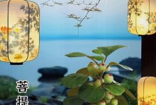 以菩提数怎么养的方法与技巧（探索内心的平静与智慧，培养正念与慈悲）