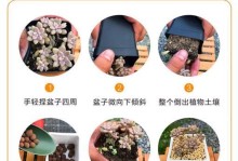 多肉树养殖方法大揭秘（从选购到养护，一站解答多肉树养殖难题）