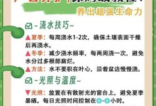 夏天栽芦荟的养护秘籍（让你的芦荟能茁壮成长的15个关键步骤）