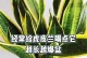 虎皮兰养护指南（虎皮兰的生长条件和养护技巧）